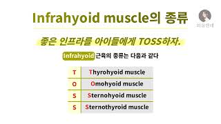 암기법 Infrahyoid muscle의 종류 [upl. by Nairbal]