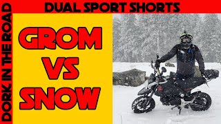 Honda Grom in Deep Snow The Adventure Grom is Put to the Test Dual Sport Shorts [upl. by Leruj]