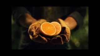 Nothing Added but Oranges [upl. by Flavius]