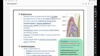 Anatomy and histology of the periodontium [upl. by Masuh939]