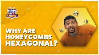 Why Are Honeycombs Hexagonal How Do Bees Build Hexagonal Honeycombs  Now We Know  BYJUS [upl. by Arondel]