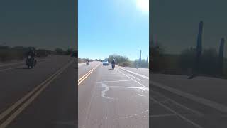 WILD RARE RABBIT FOUND RIDING A CB650 HONDAREALLY YEP not really SUBSCRIBE Please do [upl. by Infield693]