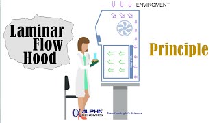 Principle and Working of Laminar Flow Hood English [upl. by Ahsatam]