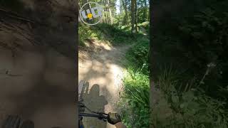 Bikepark Schienerberg shorts mtb youtube funny shortsvideo shortsfeed viral [upl. by Mila]