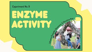 ENZYME ACTIVITY  AMYLASE  CATALASE  BIOCHEMISTRY [upl. by Monagan861]