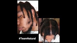 HowTo Single Braid Hairstyle Tutorial For Natural Hair [upl. by Cohen573]