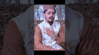 Shehar Madine Rehn Waleya  New Naat Adil Ali Qadri shorts newnaat2024 [upl. by Roselyn423]