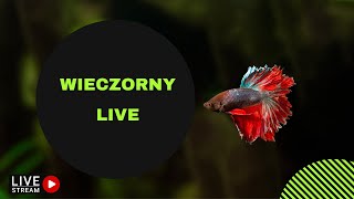 Wieczorny STREAM LIVE 64 [upl. by Assenaj]