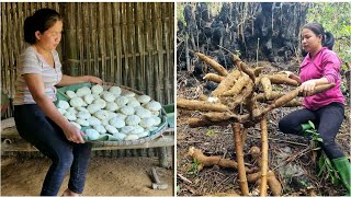 FULL VIDEO 45 build a bamboo farm and harvest fresh agricultural products [upl. by Yoreel49]