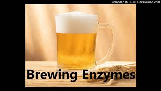 Beer Brewing Enzymes Suppliers Glucoamylase Thermostable α–Amylase for Brewing [upl. by Orton]