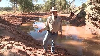 Chris Pollitts Brumby Channel Episode 4 Brumby Survival Skills [upl. by Airym]