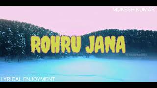 Rohru Jana MeriAmiye Lyrics Kuldeep Sharma Video Shoot by The Punjabi Wanderer LyricalEnjoyment [upl. by Niwred29]