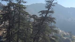 kalka  Shimla tour [upl. by Ahusoj]