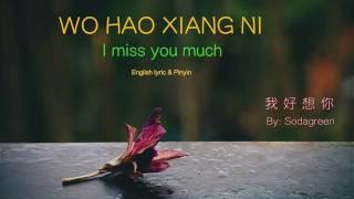 Wo Hao Xiang Ni lyric I Miss You Much  Pinyin amp English  Learn Chinese by songs [upl. by Elvin]