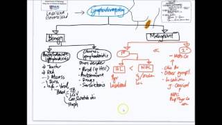 Approach to Lymphadenopathy [upl. by Baldwin525]