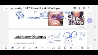 3 Diphtheria amp Moraxella  MUST 201 [upl. by Nebra]