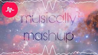 Musically Mashup  love critic [upl. by Namreh]