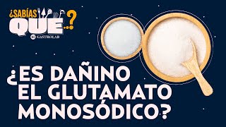 Israel Aretxiga explica por qué el glutamato monosódico es el quinto sabor o Umami  ¿Sabías que [upl. by Rabush]