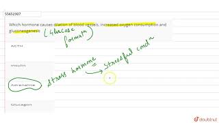 Which hormone causes dilation of blood vessels increased oxygen consumption and glucongenesis [upl. by Wattenberg79]