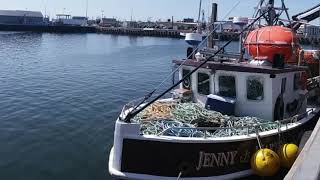 Snow crab fishing  Shippagan NB  part 1 [upl. by Key]