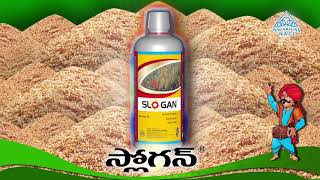 SLOGAN  FUNGICIDE  IN PADDY  TELUGU [upl. by Gregrory]