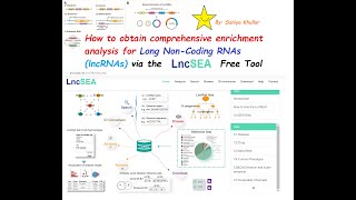 Analysis and Enrichment of Long NonCoding RNA lncRNA for Humans via LncSEAs Comprehensive Tool [upl. by Dorrej88]