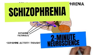 2Minute Neuroscience Schizophrenia [upl. by Attiuqram]