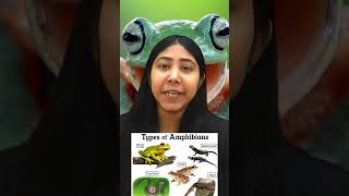 Class Amphibia  Characteristics and Examples  Tetrapod Animal  Biology  Class11  Adhyayanta [upl. by Daffodil368]