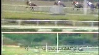 Gran Premio Latinoamericano de Jockey Clubs 1986 [upl. by Livingstone933]