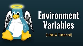 Environment Variables  Linux Tutorial 11 [upl. by Fanya]