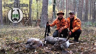 Drückjagd im Jagdkrone Revier  Jetzt auf HUNT ON DEMAND [upl. by Cyrie]