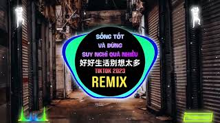 张妙格  好好生活别想太多 DJ阿本版 Sống Tốt Và Đừng Suy Nghĩ Quá Nhiều Remix Tiktok  Trương Diệu Cách [upl. by Nodnol]