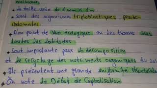 Biologie animale  les némathelminthes intro  جذ هام [upl. by Wampler301]