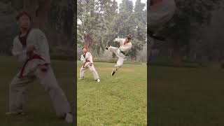 Flyingsidekick practice🦵😈🥋flyingsidekickmartialarts trendingtrendingshortskaratviralshorts [upl. by Ricard]