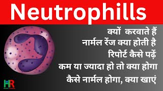 neutrophil count test  absolute neutrophil count anc test in hindi  low neurtrophil count test [upl. by Tizes]