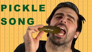 Pickle Song  Official Music Video [upl. by Ardnasak]