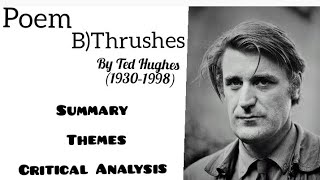 Poem  Thrushes by Ted Hughes  Summary Themes and Critical Analysis poems [upl. by Kotick]