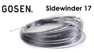 Gosen Sidewinder 17 String Review [upl. by Selestina156]