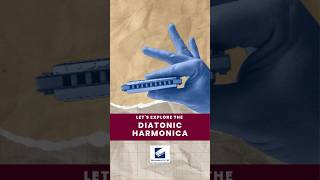 Why The Diatonic Harmonica Is The Perfect Starter Instrument [upl. by Savdeep]