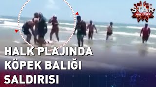 Halk Plajında Köpek Balığı Saldırısı  Star Ana Haber [upl. by Margit974]