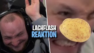 REAKTION auf DIE BESTEN ELoTRiX Clips des Monats Februar 2021  LACHFLASH  ELoTRiX Highlights [upl. by Eirrej]