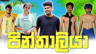 පින්තාලියා  PINTHALIYA  KDJ PRODUCTIONS kdjdiaries [upl. by Nylirrehs]