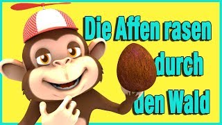 Die Affen rasen durch den Wald  Kinderlied  Kindermusik  Kinderlieder  Jippiedoo [upl. by Simetra]