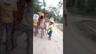 jungle ke raja jaldi aaja kaha raja kemata sherawali chandidevi kalka shorts 997 [upl. by Gayelord870]