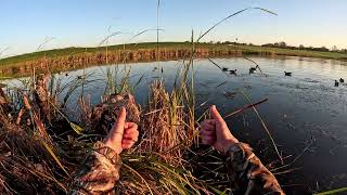 Battling STALE GEESE with No Wind and a Hard Hide  4 man GOOSE HUNT [upl. by Adnalro]