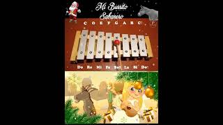 🎅Mi burrito sabanero🎄 canciones en xilofono  songs on xylophone 🎅🎄 [upl. by Oahc]