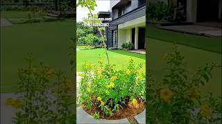 Farmhouse Landscape service by Greentech International Co shorts farmhouse landscape [upl. by Erlina]