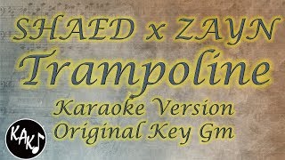 SHAED x ZAYN  Trampoline Karaoke Instrumental Lyrics Cover Original Key Gm [upl. by Ahseenyt]