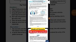 Study of Osmosis by potato osmoscope answers with Viva questions shortvideo biology hsc [upl. by Adilem]