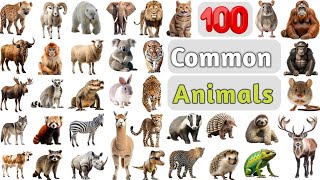 Animals Vocabulary ll 100 Common Animals Name In English With Pictures ll List of Animals in English [upl. by Annaed266]